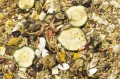 JR FARM karma dla Chomika Karłowatego Adult 500 g 1.jpg