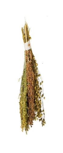 JR Farm pick and fly 130g.jpg
