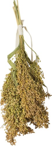 JR Farm proso rozpierzchłe 100g.jpg