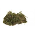 TRIXIE mech substrat 200g do urządzenia klatki akwarium czy terrarium.jpg