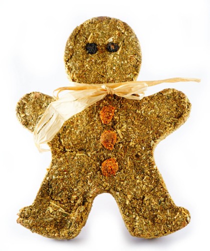 HAM-STAKE ciastek - piernikowy ludzik.jpg