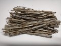 HAM-STAKE łodygi czarnej porzeczki 70g.jpg