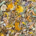mixerama-zwergenzauber-karma-dla-chomikow-karlowatych-500g.jpg