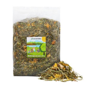 FACTORYHERBS wakacje na wsi 1500g