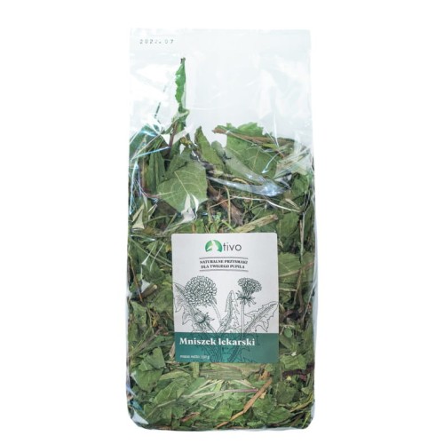 tivo mniszek lekarski.jpg