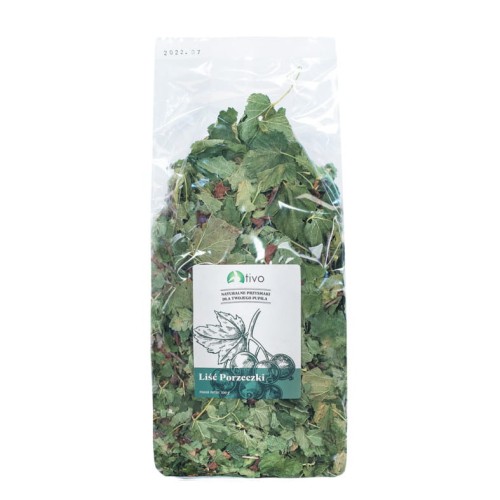 tivo liść porzeczki.jpg