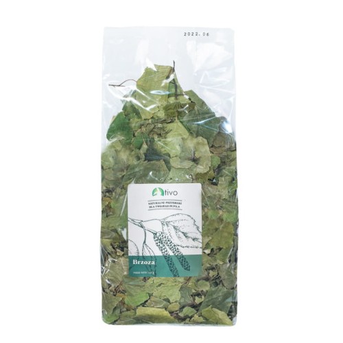 tivo liść brzozy.jpg