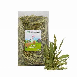FACTORYHERBS ziele pszenicy 100g