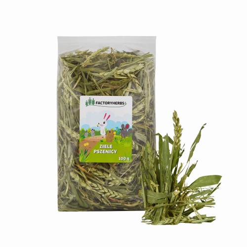 FACTORYHERBS ziele pszenicy 100g.jpg