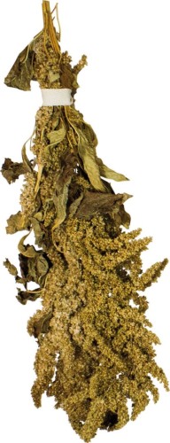JR Farm Amarantus 30g.jpg