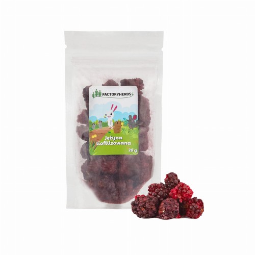 FACTORYHERBS jeżyna liofilizowana 20g.jpg