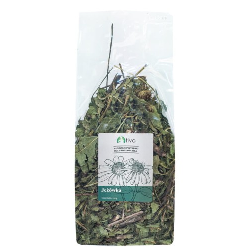 tivo jeżówka purpurowa.jpg