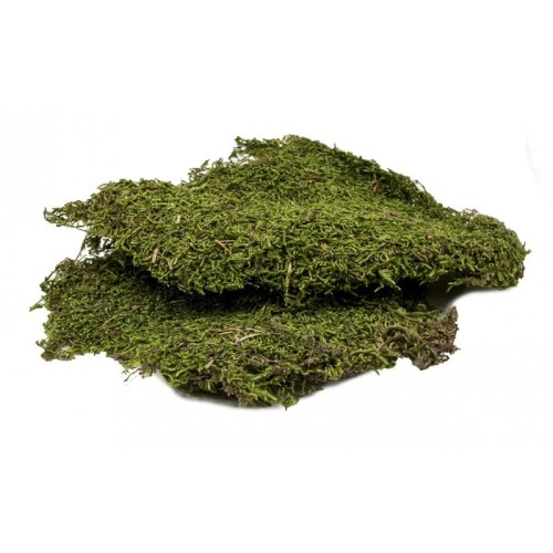 TERRA NATURA TN-44037 mech podłoże do terrarium 50g kraj pochodzenia Turcja.jpg