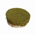 FACTORYHERBS krążek brzozowy z kolendrą 1szt.jpg