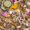 MIXERAMA Mittelhamster Gourmet Menü - karma dla chomików syryjskich 2,5kg duże opakowanie.webp