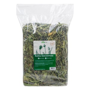 TIVO babka lancetowata 600g