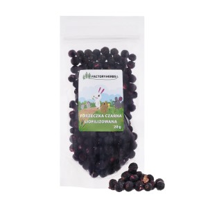 FACTORYHERBS czarna porzeczka liofilizowana 20g