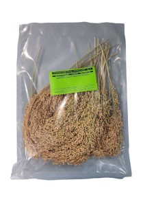 FUTTER PARADIES suszone proso zielone 100g