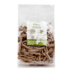TIVO korzeń mniszka XXL 300g