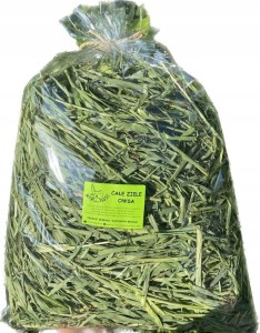 WYRWISUSZ całe ziele owsa 500g