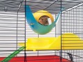 SAVIC SPUTNIK DOMEK PLASTIKOWY 2.jpg