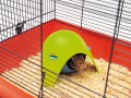 SAVIC SPUTNIK DOMEK PLASTIKOWY 1.jpg