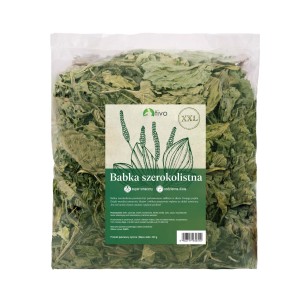 TIVO babka szerokolistna XXL 400g