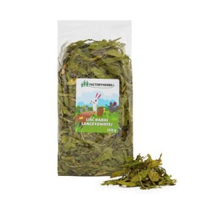 FACTORYHERBS liść babki lancetowatej 100g