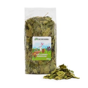 FACTORYHERBS liść czarnej porzeczki 100g