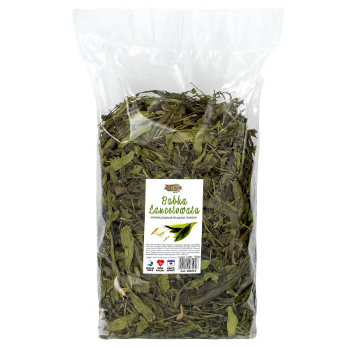 ALEGIA babka lancetowata 300g.webp