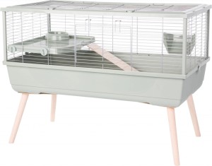 ZOLUX Klatka dla kawii domowej NEOLIFE 100 zielona