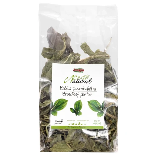 ALEGIA babka szerokolistna 100g.webp