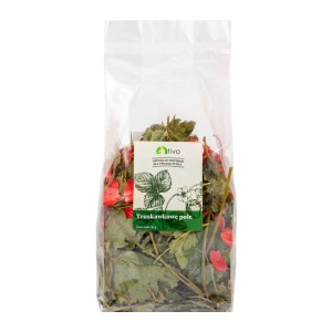 TIVO Truskawkowe Pole – liść truskawki 100 g