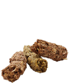 versele-laga cavia complete 1.png