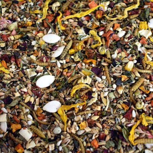 FUTTER PARADISE goldnature - karma dla chomika 500g.jpg