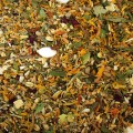 FUTTER PARADIES farbmaus - karma dla mysz 500g.jpg